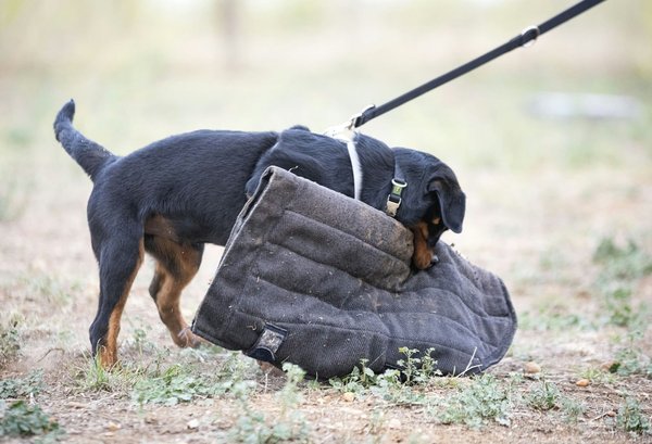 Can the installation of a roll bar enhance the safety of a convertible car?